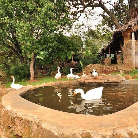 Naiberi River Campsite & Resort إلدوريت المظهر الخارجي الصورة