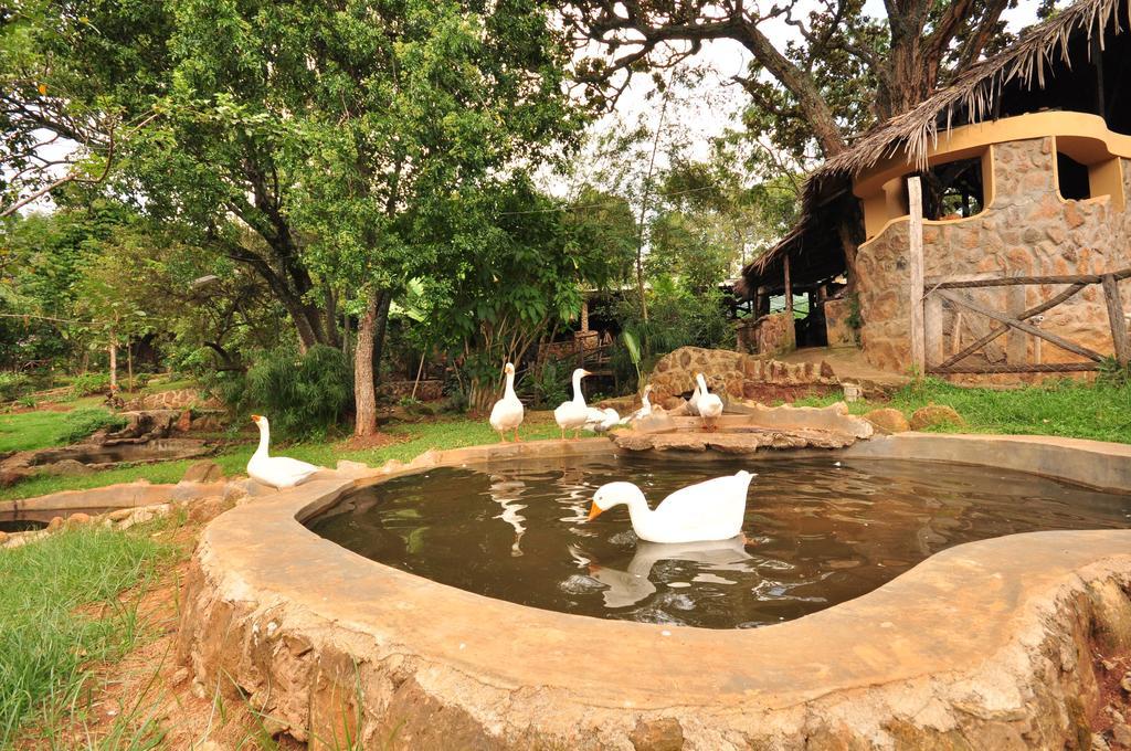 Naiberi River Campsite & Resort إلدوريت المظهر الخارجي الصورة